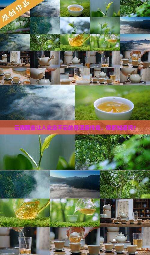 云南有名的普洱茶茶厂