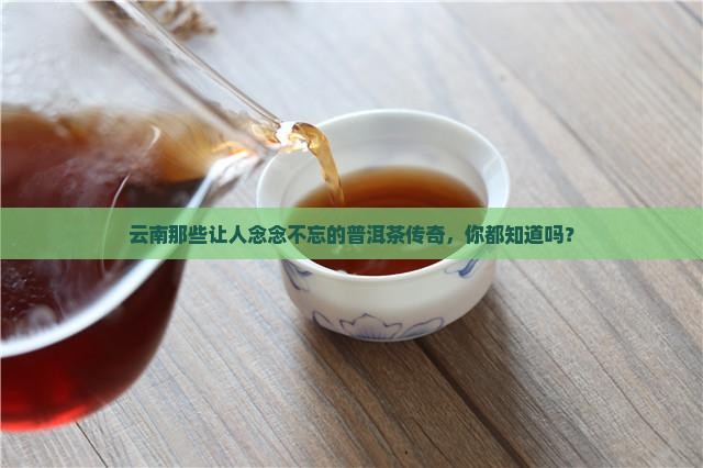 云南有名的普洱茶茶厂