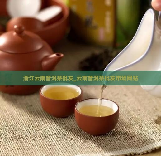 浙江云南普洱茶批发