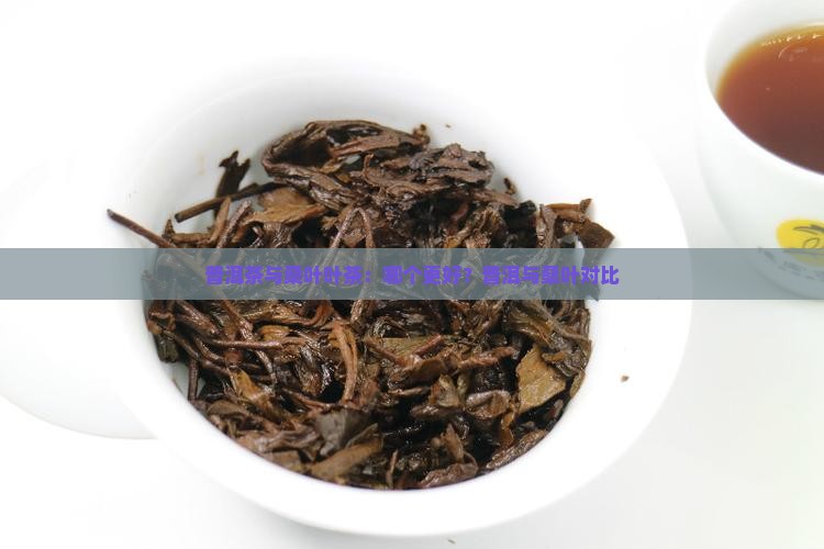 普洱茶和桑叶茶哪个好
