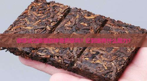 新疆的药茶有什么功效