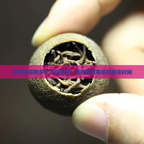 普洱茶要多久才能适应