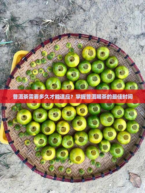 普洱茶要多久才能适应