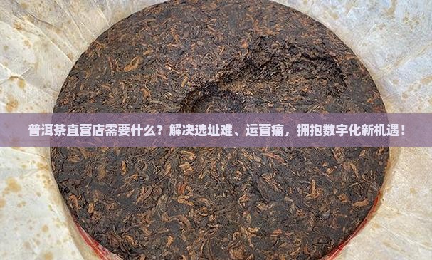 普洱茶直营店需要什么