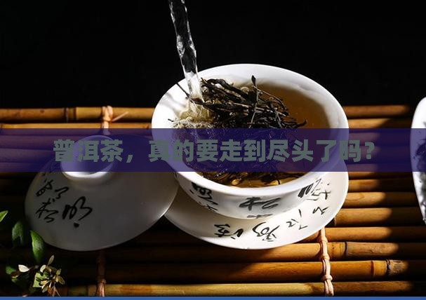 普洱茶的终结者
