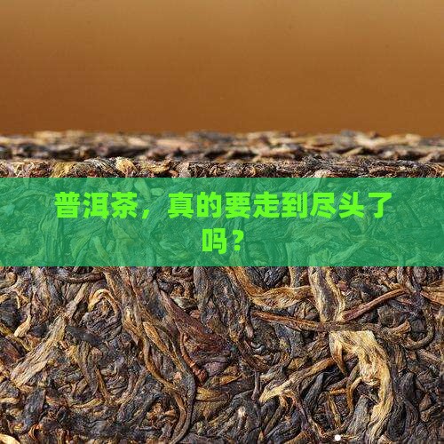 普洱茶的终结者