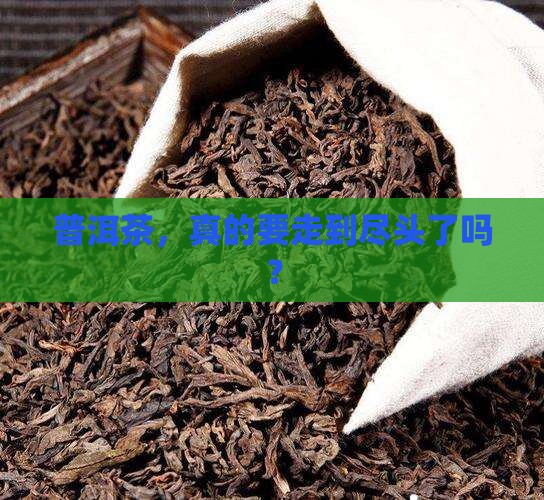 普洱茶的终结者