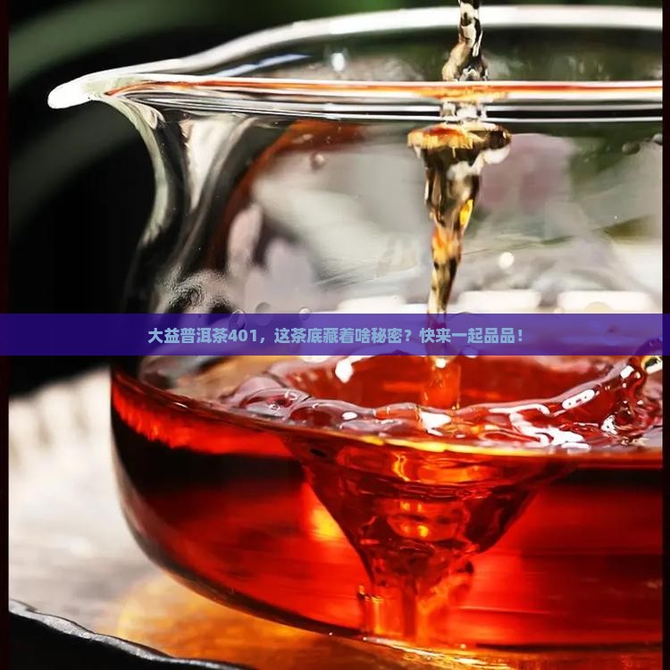 大益普洱茶401茶底