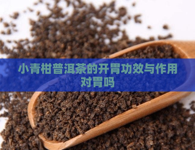 小青柑普洱茶开胃吗