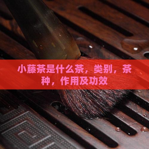 小藤茶是什么茶