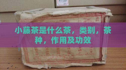 小藤茶是什么茶