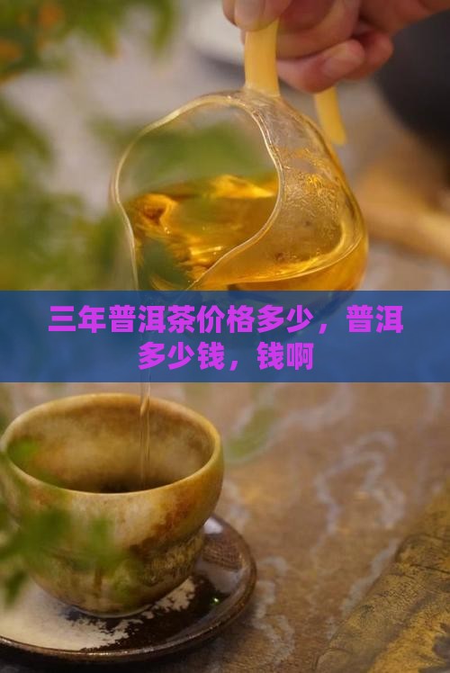 三年的普洱茶值多少钱啊