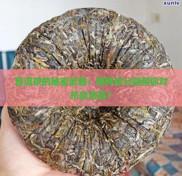 普洱茶中什么能清除自由基