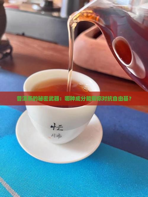 普洱茶中什么能清除自由基