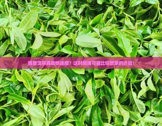 普洱茶多长时间可以减肥