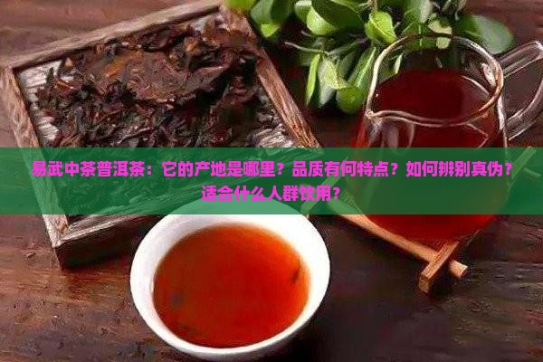 易武中茶普洱茶