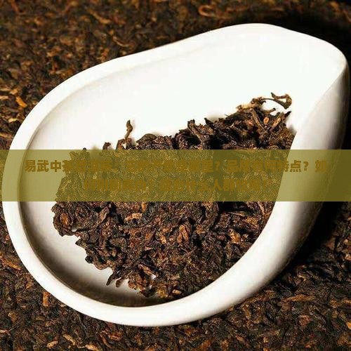 易武中茶普洱茶