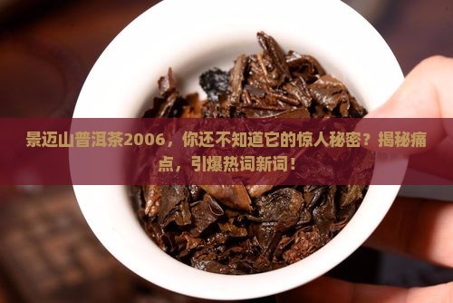 景迈山普洱茶2006