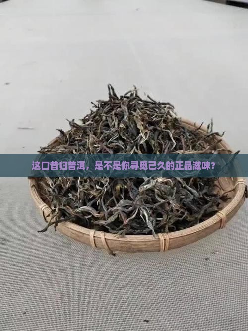 昔归正品普洱茶