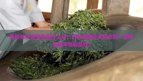 曼松松针普洱茶