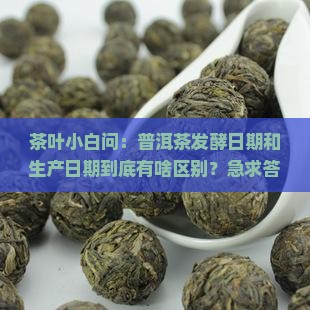 普洱茶发酵日期和生产日期