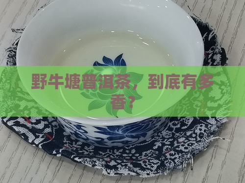 野牛塘普洱茶特点