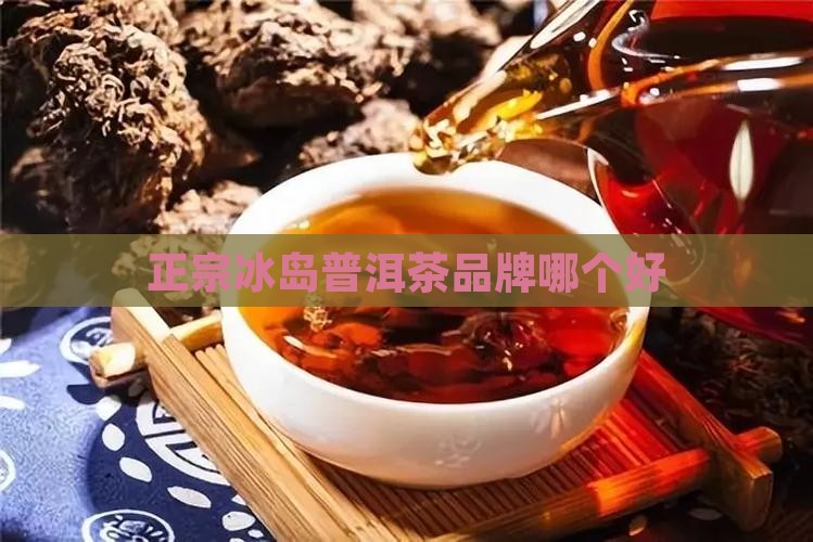 正宗的冰岛普洱茶品牌是什么