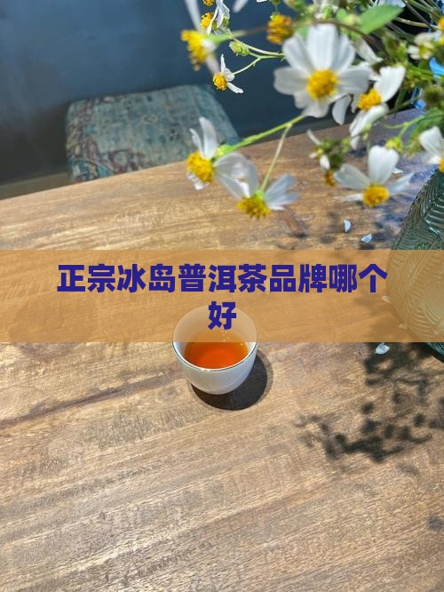 正宗的冰岛普洱茶品牌是什么