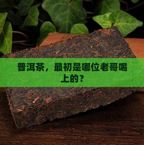 普洱茶开始是哪儿人喝的