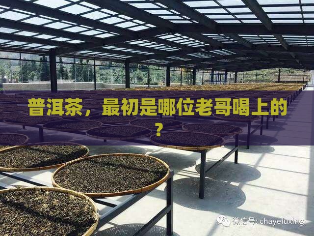 普洱茶开始是哪儿人喝的