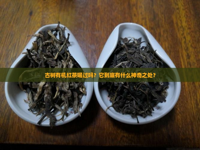 古树有机红茶的功效与作用