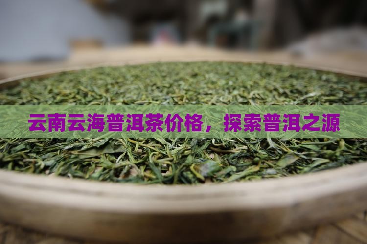 腾龙云海普洱茶价格