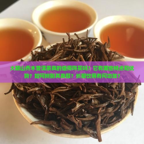 大朝山乔木普洱茶