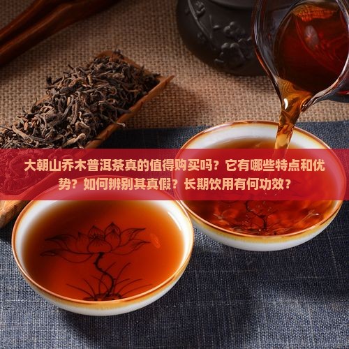 大朝山乔木普洱茶