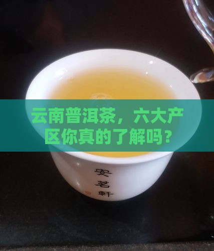 云南普洱茶六大产区是哪些