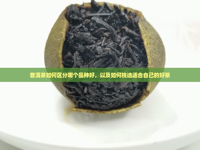 普洱茶如何区分哪个品种好