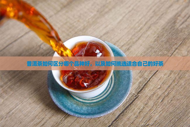 普洱茶如何区分哪个品种好