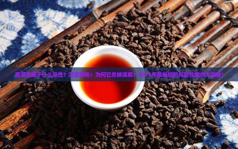 普洱茶属于什么茶性
