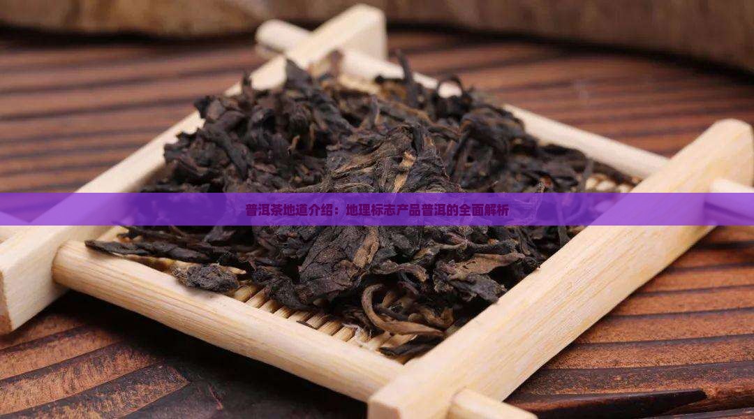 普洱茶地道介绍