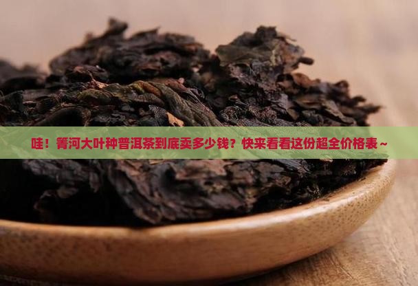 箐河大叶种普洱茶价格表