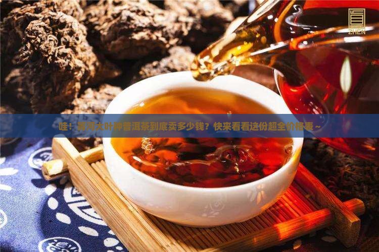箐河大叶种普洱茶价格表
