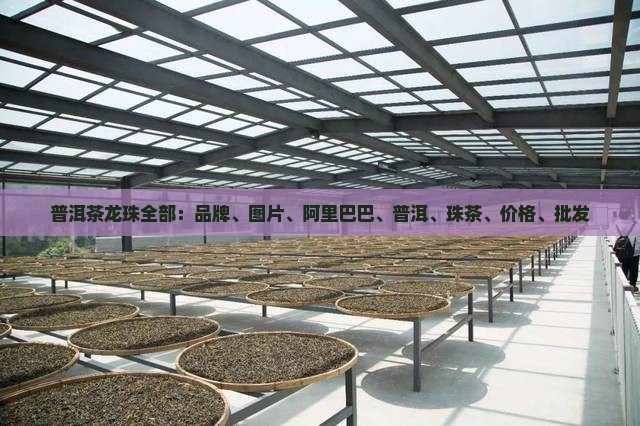 普洱茶龙珠全部