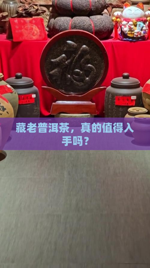 购买藏老普洱茶