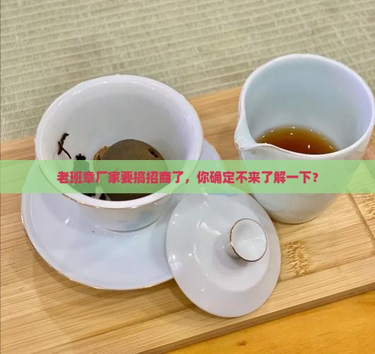 国内老班章厂家招商
