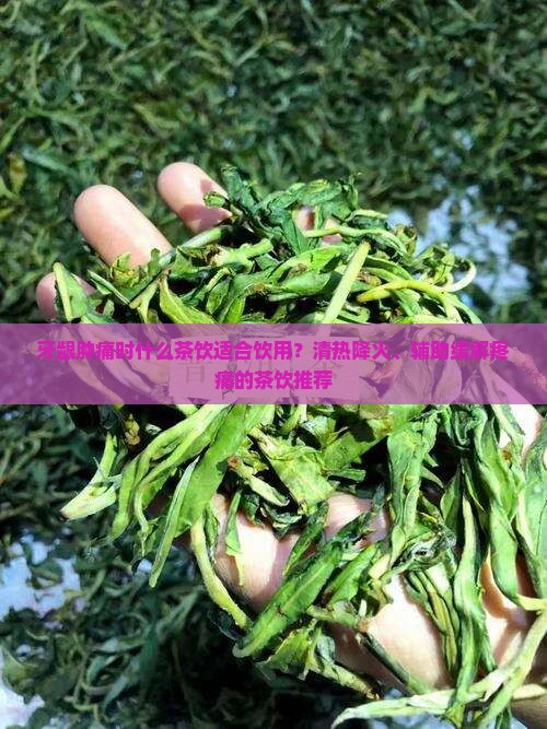 牙龈肿痛泡什么茶喝