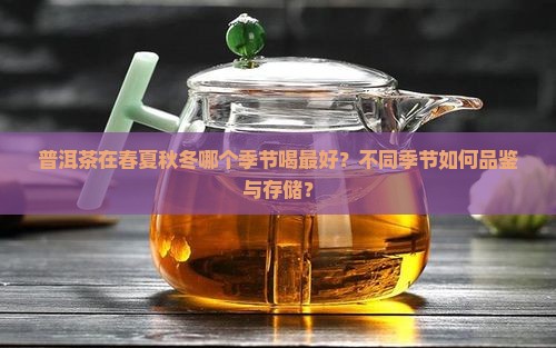 普洱茶春夏秋冬