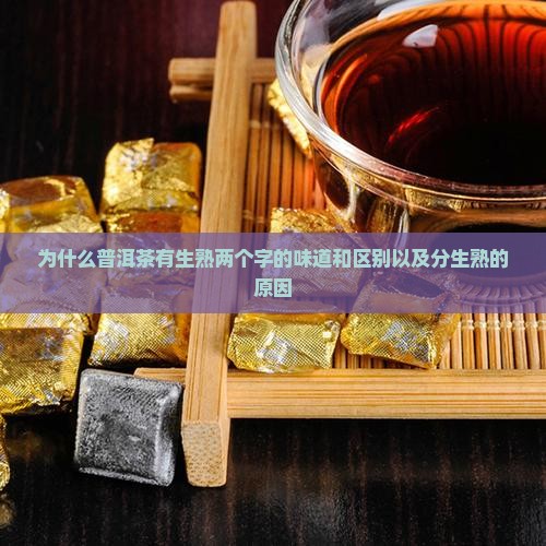 为什么普洱茶有生熟两个字