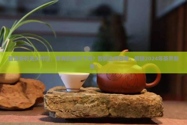普洱茶和毛尖对比 普洱茶和毛尖对比