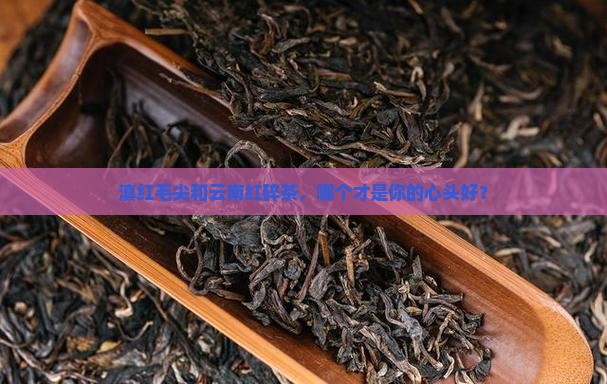 滇红毛尖属于什么茶云南红碎茶