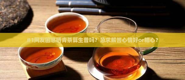 晒青茶是不是生普